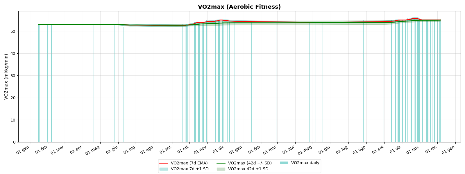 VO2max Aerobic Fitness